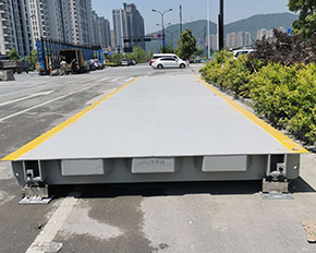 山東專業的草莓短视频黄色廠家